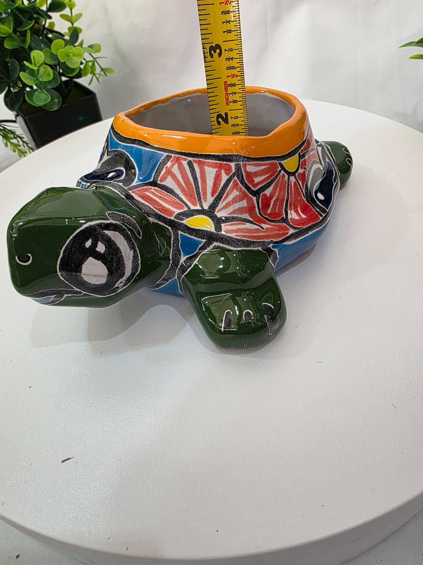 green talavera turtle planter 2 inches deep with a tape measure