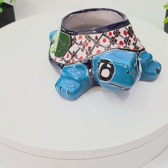 turtle planter video