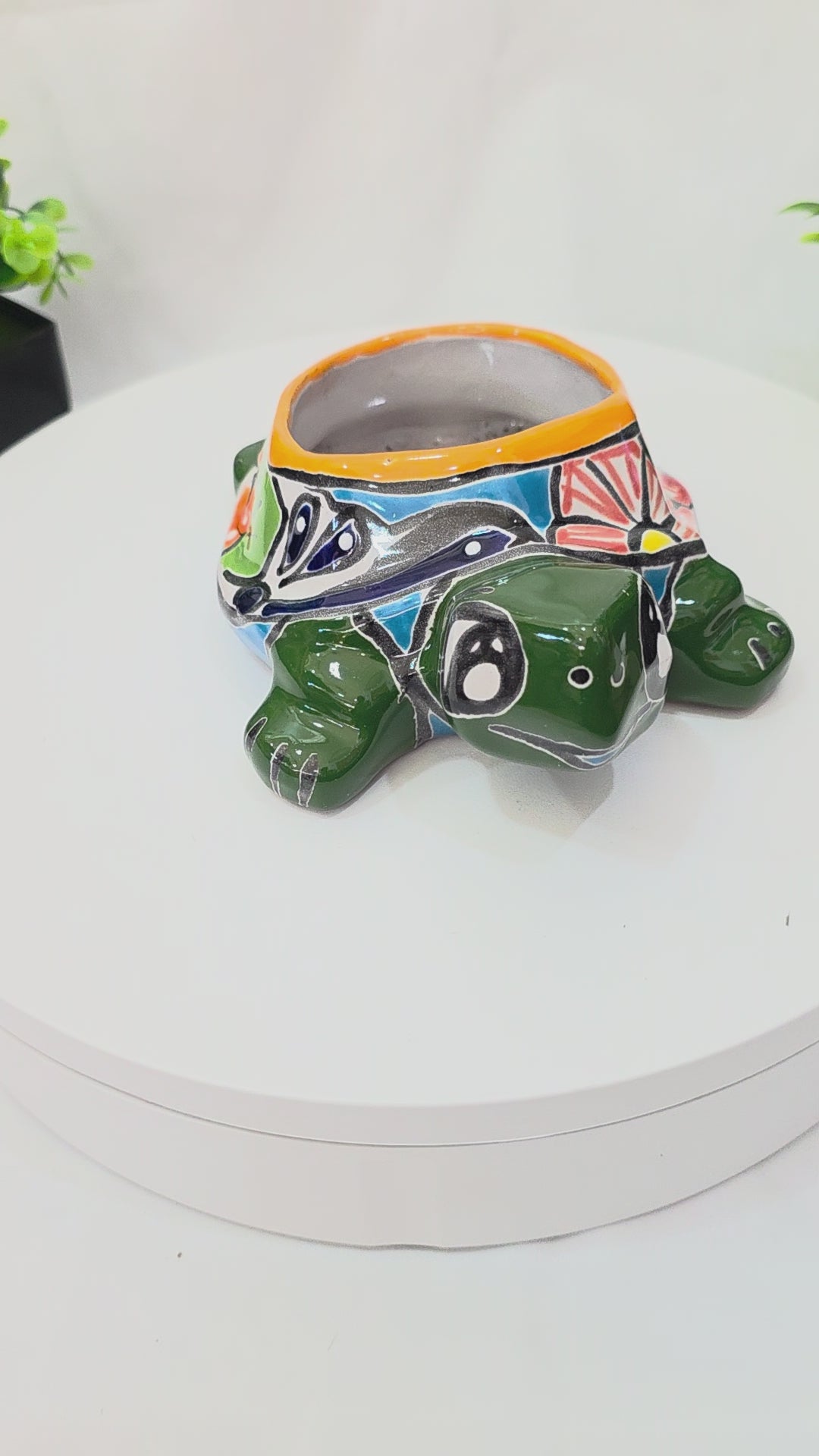 green talavera turtle planter video