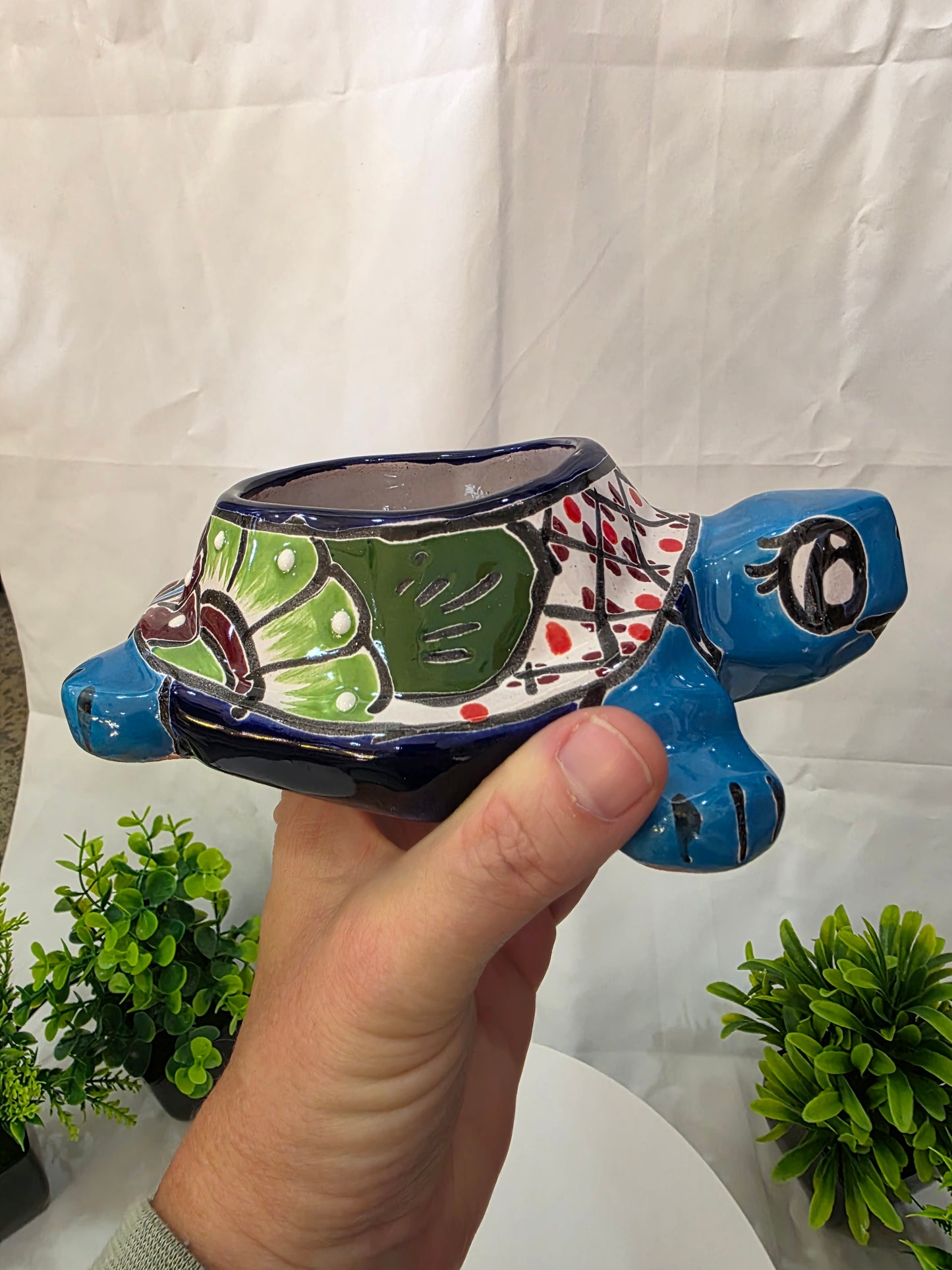 turtle planter on the right side in a hand
