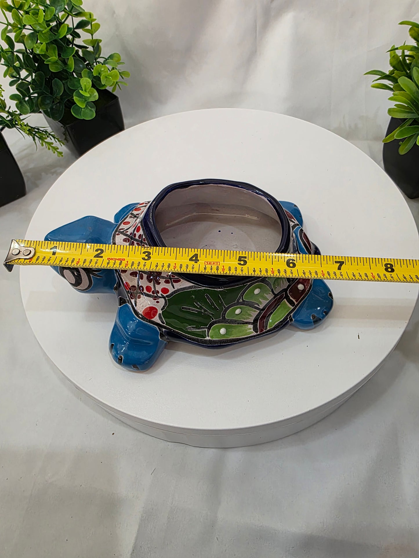 turtle planter top with a measuring tape
